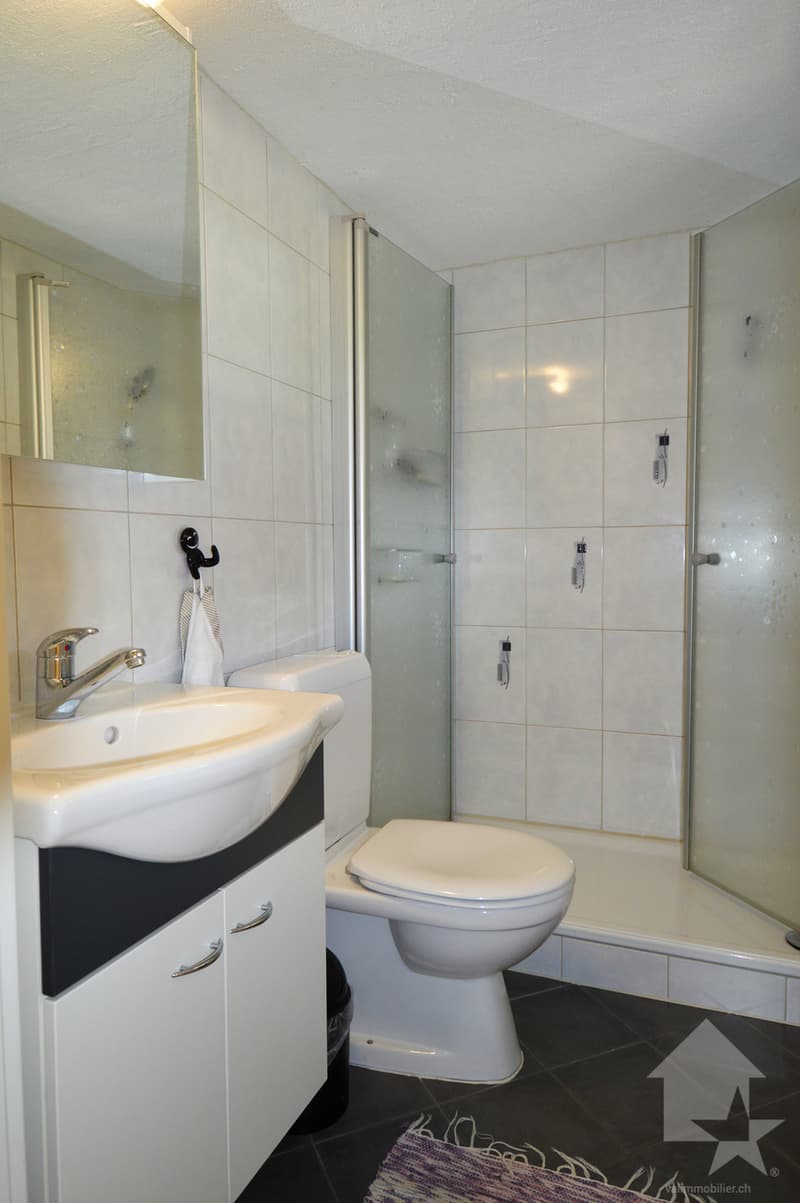 Appartement triplex idyllique (4)