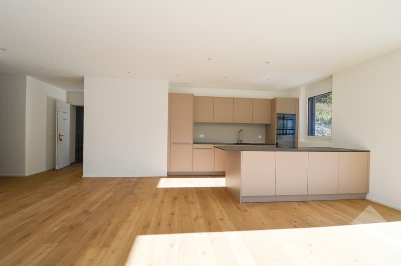 Appartement neuf de 4,5 pièces en hauteur privilégiée (7)