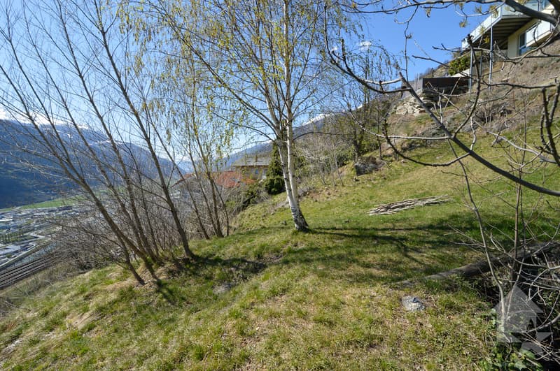 Magnifiques parcelle constructible pour des maisons individuelles (3)