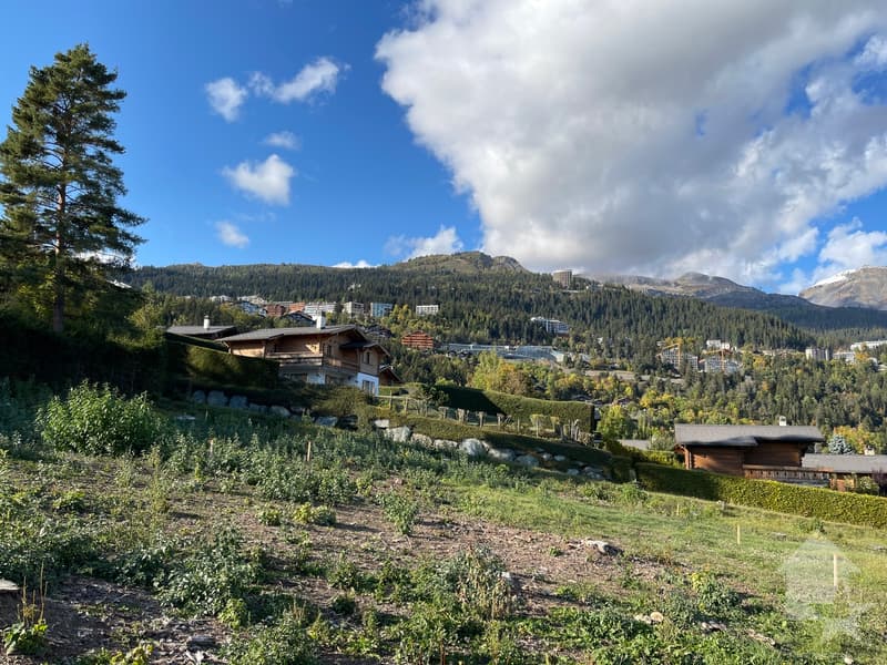En construction, chalet traditionnel, quartier calme, vue panoramique (3)