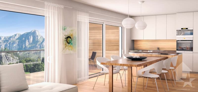 Nouveaux appartements résidentiels de 4,5 pièces (6)