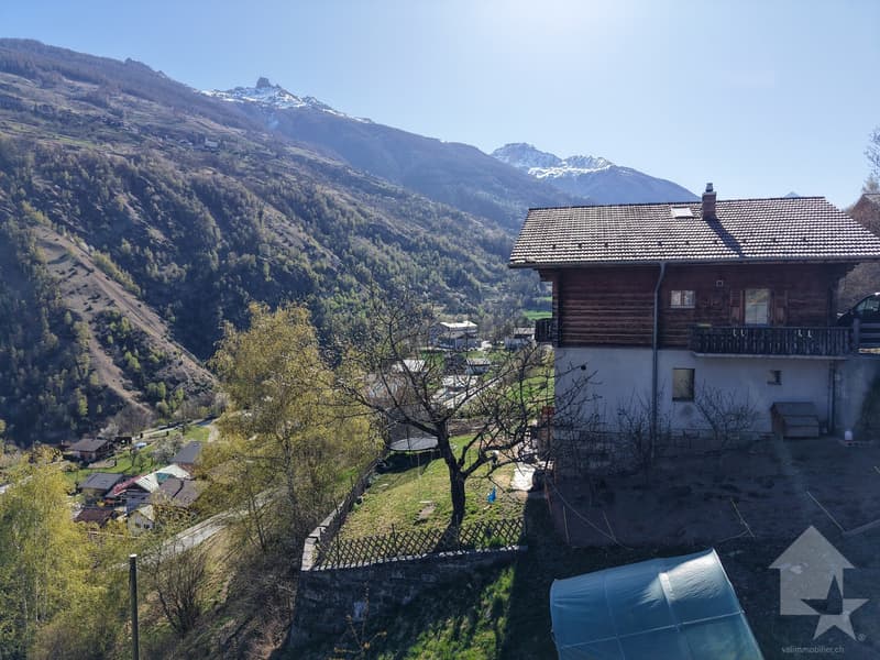 A vendre terrain bien situé à Euseigne (5)