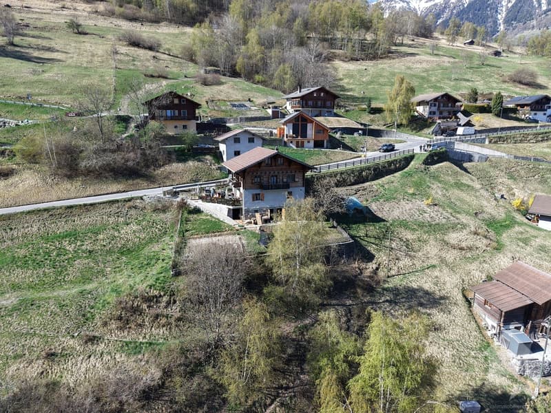 A vendre terrain bien situé à Euseigne (4)