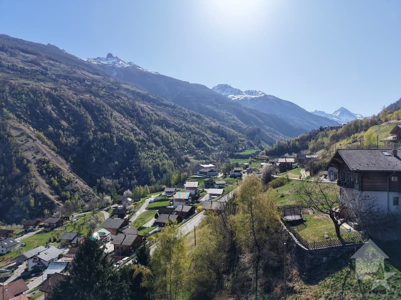 A vendre terrain bien situé à Euseigne (7)