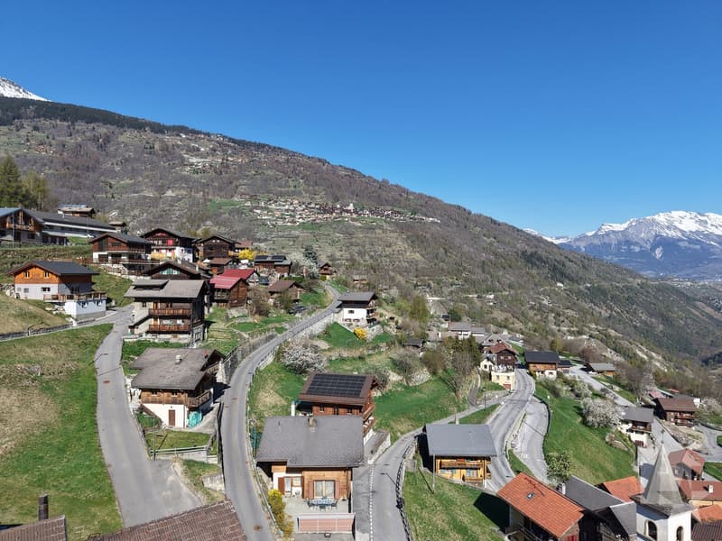 A vendre terrain bien situé à Euseigne (6)