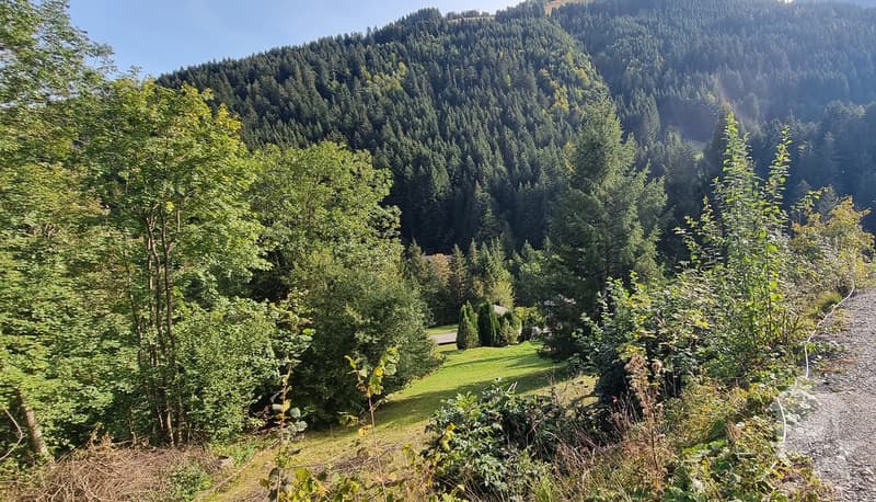 Torgon, terrain à bâtir avec permis de construire en force (2)