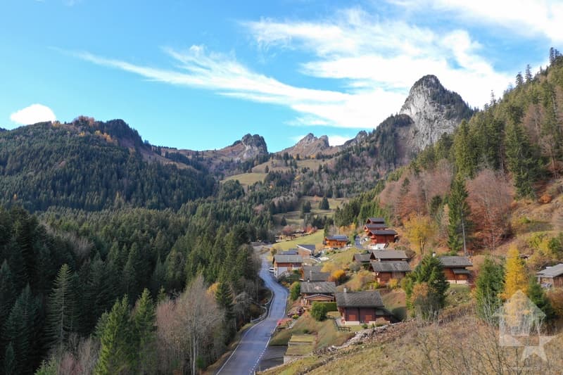 Torgon, terrain à bâtir avec permis de construire en force (3)
