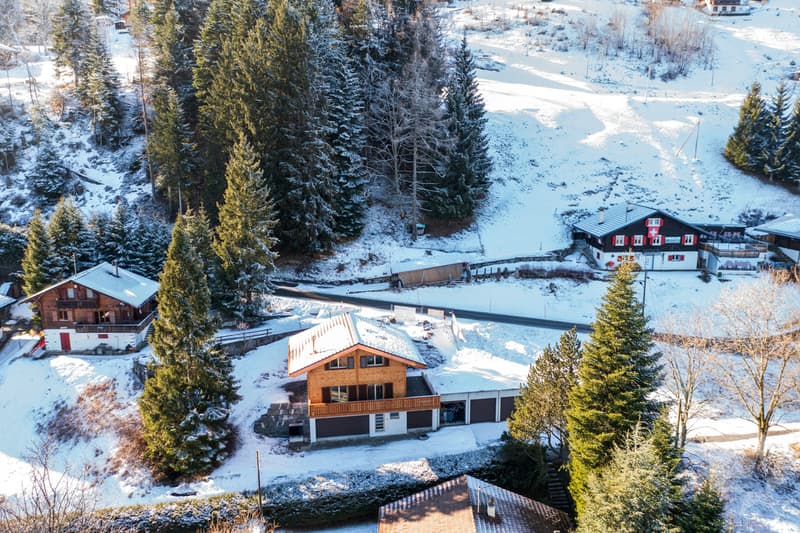 Les Cerniers, chalet neuf disponible de suite (3)