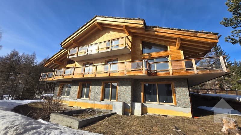 Magnifique duplex 4,5 pces de standing au centre de Crans (2)