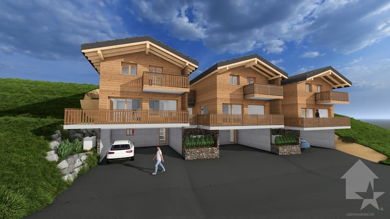 Magnifique chalet de 4.5 pièces avec terrasse et pelouse (4)