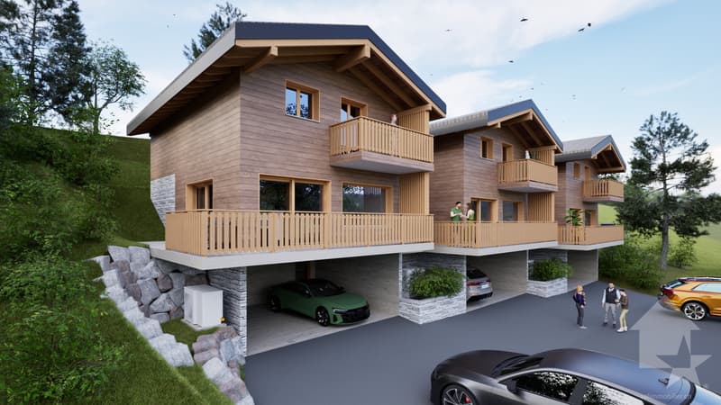 Magnifique chalet de 4.5 pièces avec terrasse et pelouse (2)