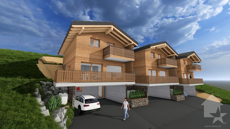 Magnifique chalet de 4.5 pièces avec terrasse et pelouse (4)