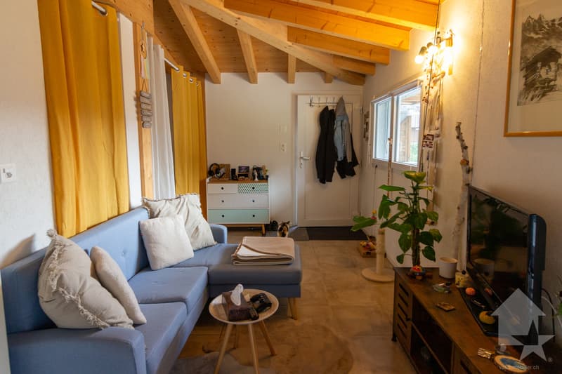 Villa / immeuble de 2 appartements 1x 3.5 pces en duplex + 1x studio (13)