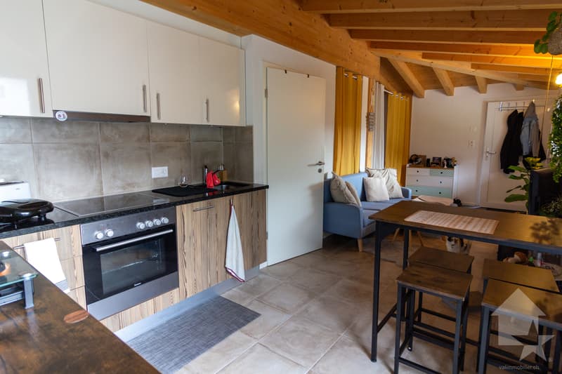 Villa / immeuble de 2 appartements 1x 3.5 pces en duplex + 1x studio (12)