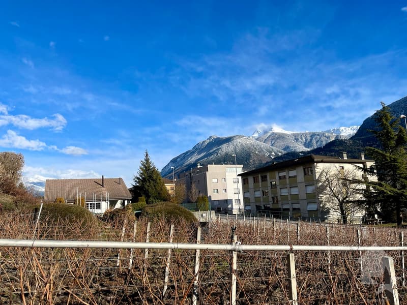 A construire, villa familiale 5,5 pièces, dans un environnement calme (12)