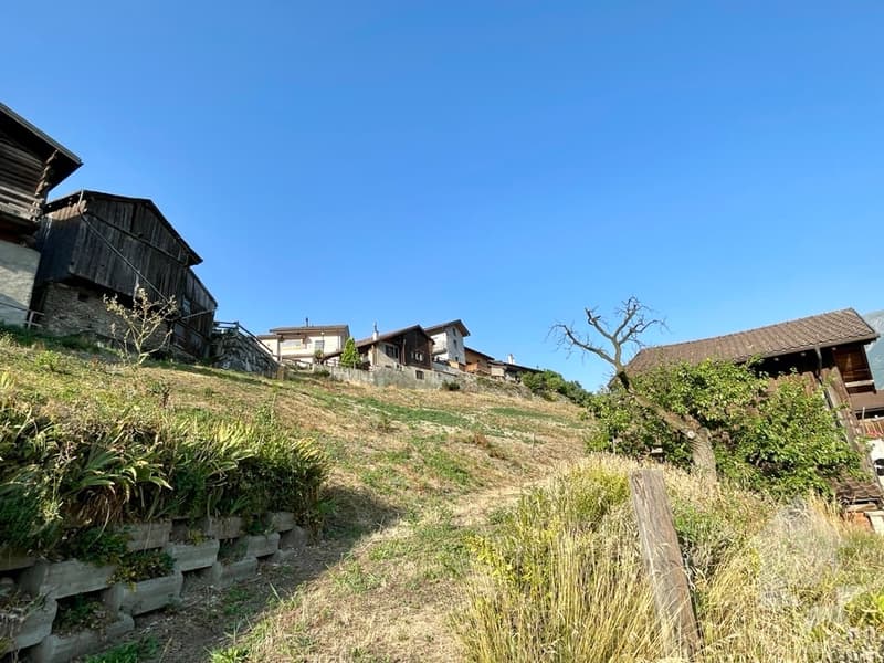 Appartement 4.5 pièces avec jardin de 132m2, nouvelle promotion (3)