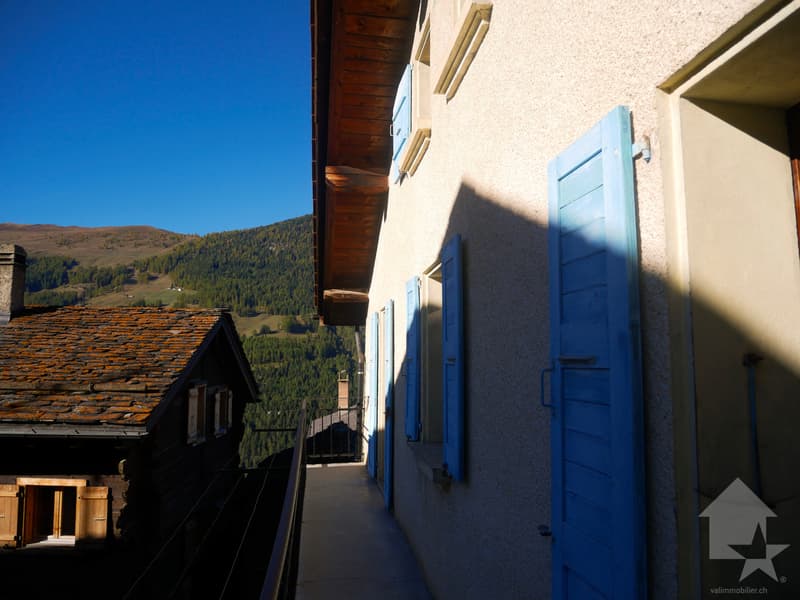 4,5 pièces, à rénover dans maison villageoise à Chandonne (5)