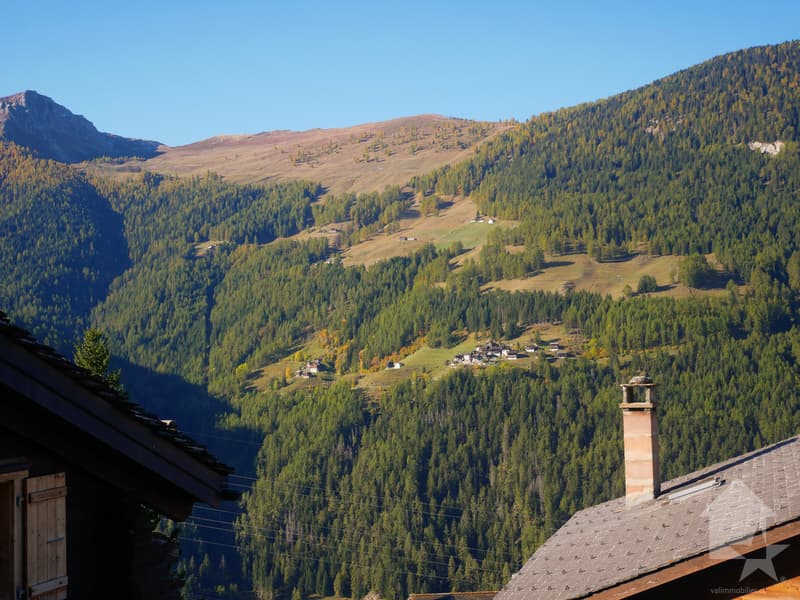 4,5 pièces, à rénover dans maison villageoise à Chandonne (12)