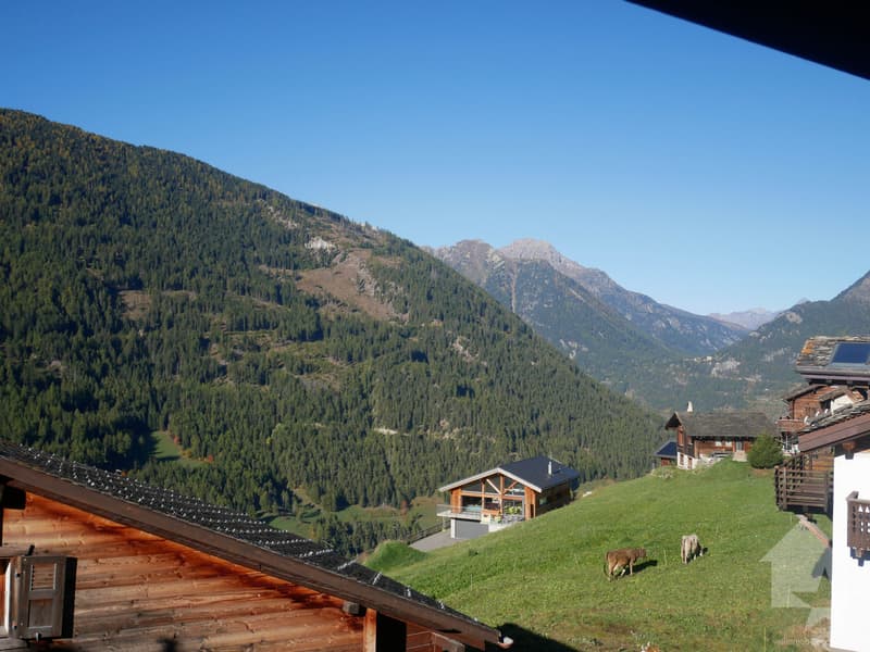 4,5 pièces, à rénover dans maison villageoise à Chandonne (2)