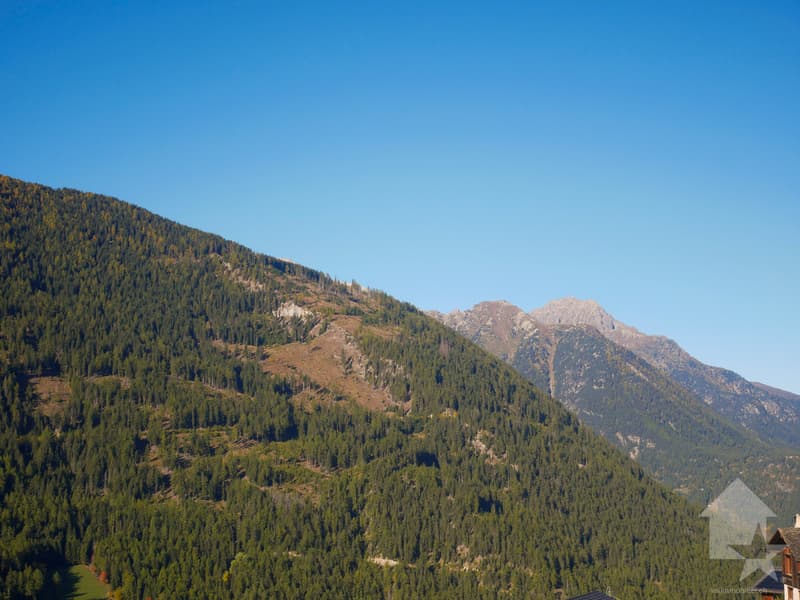 4,5 pièces, à rénover dans maison villageoise à Chandonne (10)