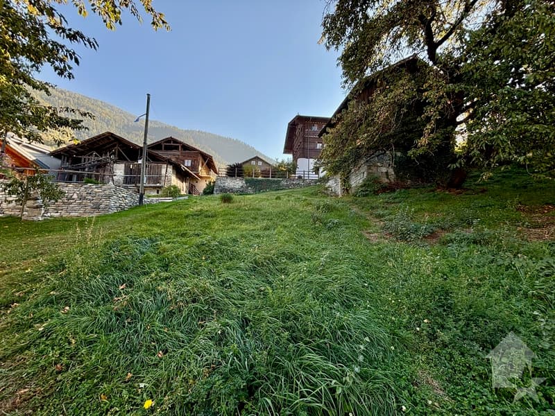 Maison villageoise avec granges et lot de parcelles constructibles (11)