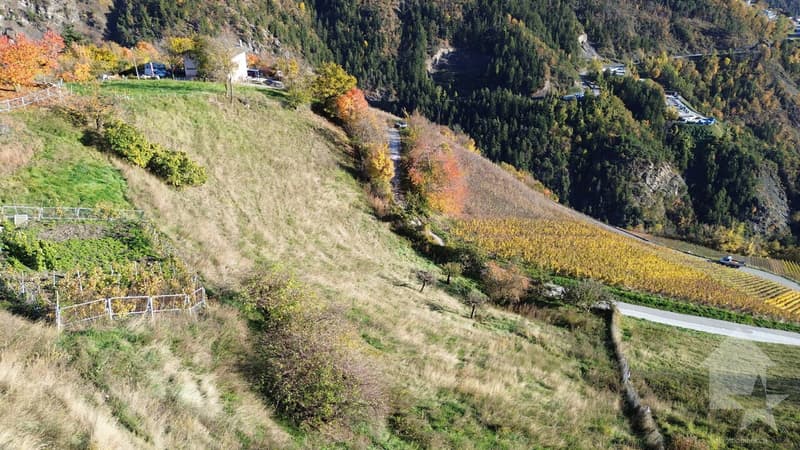 Terrain à vendre sur les hauts de Conthey avec une vue imprenable (5)