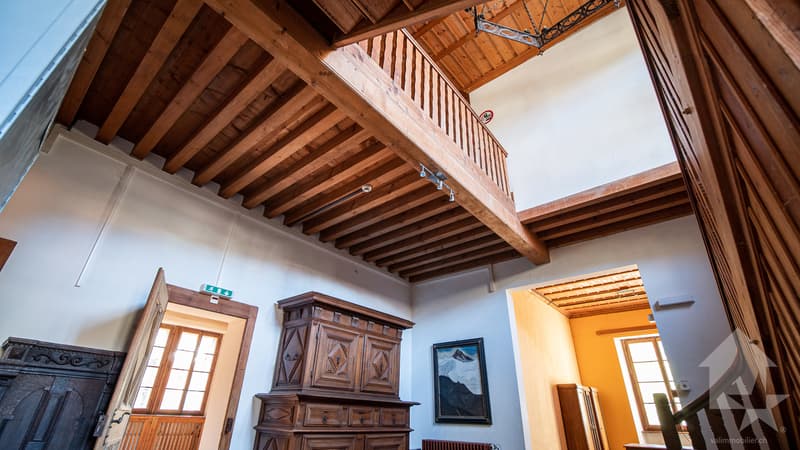 Majestueuse résidence de vacances - logement de groupe (8)
