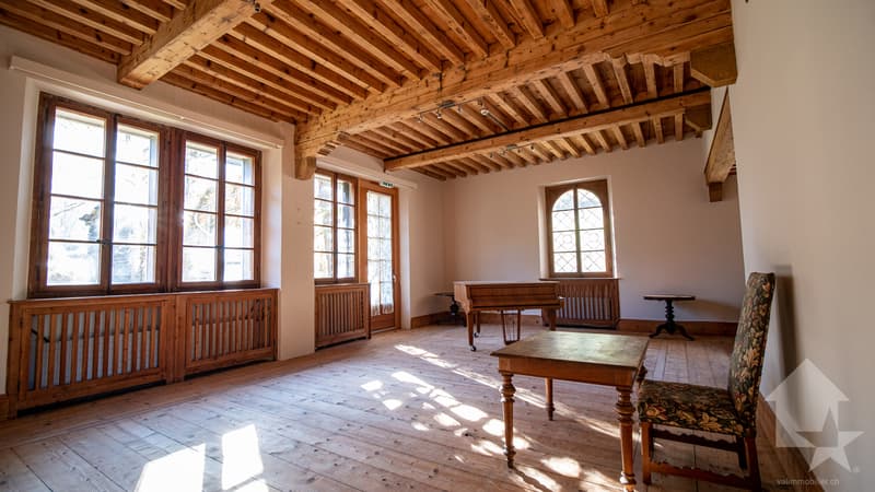 Majestueuse résidence de vacances - logement de groupe (5)