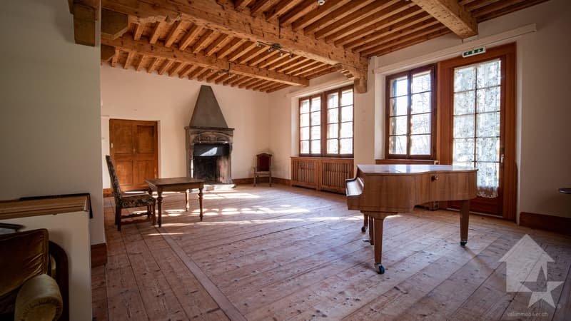 Majestueuse résidence de vacances - logement de groupe (6)