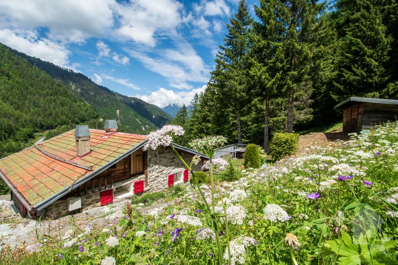 Chalet à rénover au coeur de la nature (2)