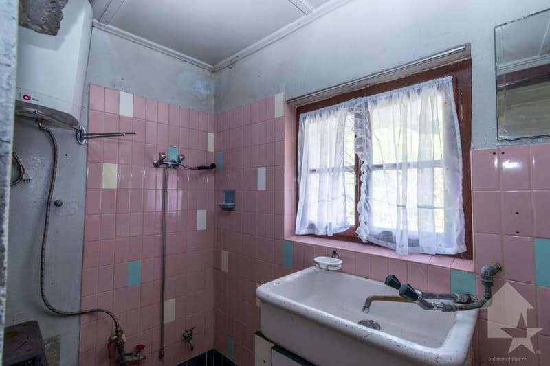 Chalet à rénover au coeur de la nature (10)