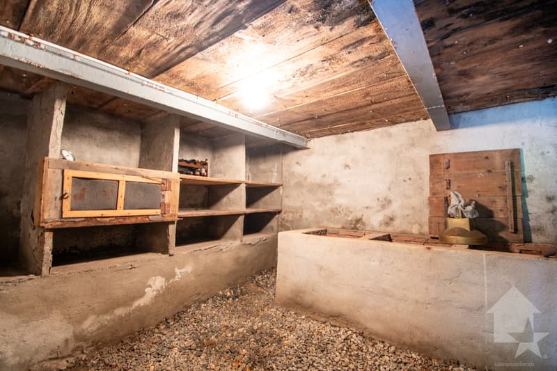 Chalet à rénover au coeur de la nature (12)