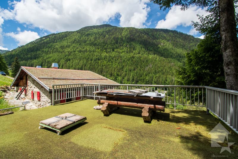 Chalet à rénover au coeur de la nature (5)