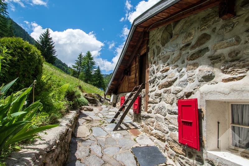 Chalet à rénover au coeur de la nature (4)