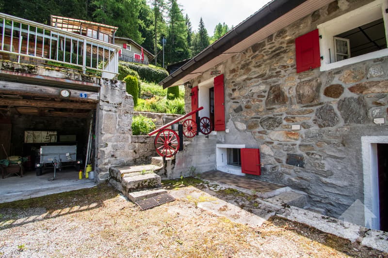 Chalet à rénover au coeur de la nature (3)