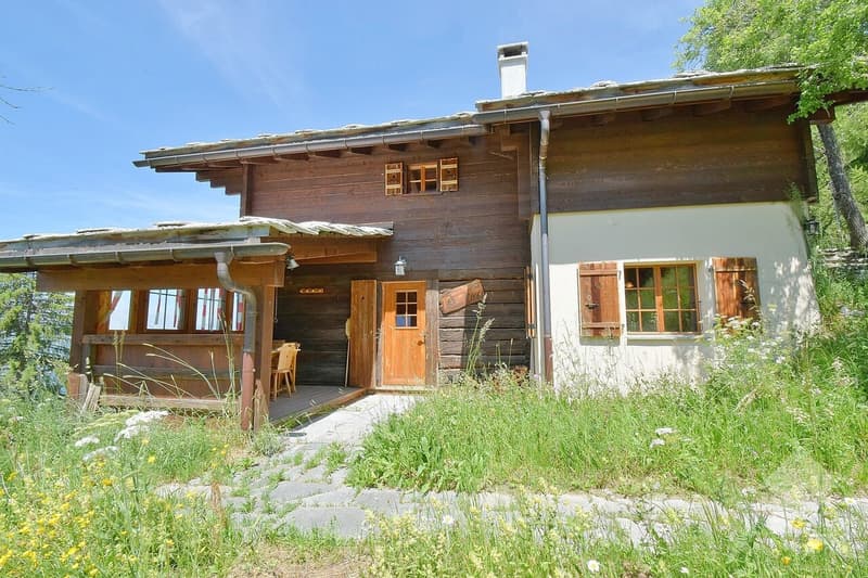 Magnifique chalet à la montagne au calme et spacieux (4)