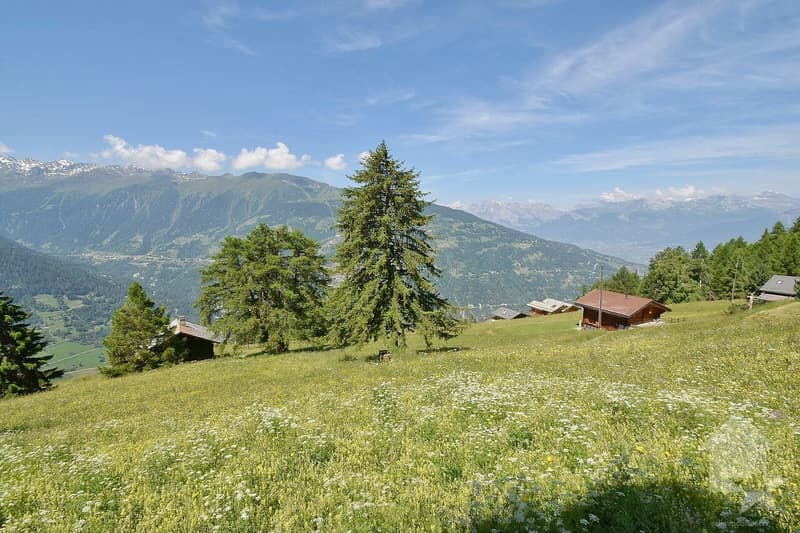Magnifique chalet à la montagne au calme et spacieux (9)