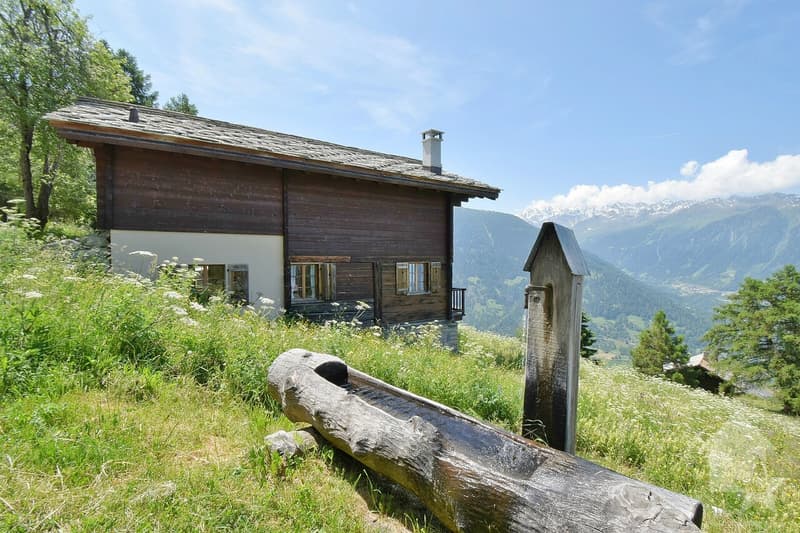 Magnifique chalet à la montagne au calme et spacieux (2)