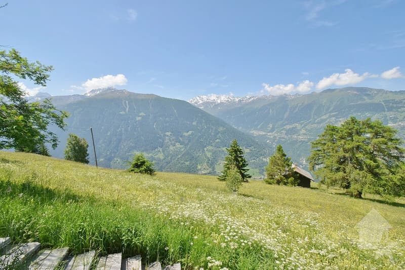 Magnifique chalet à la montagne au calme et spacieux (10)