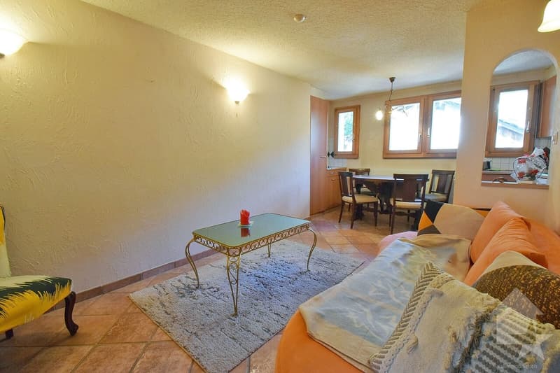 Immeuble de 3 ou 4 appartements avec une grange et un garage inclus ! (13)