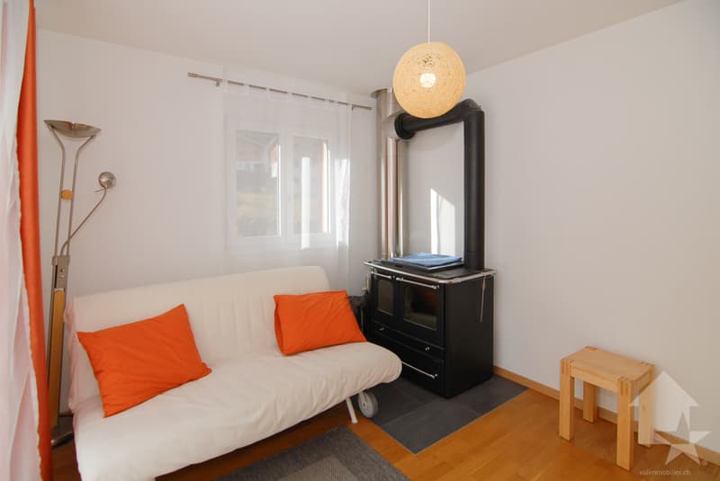 Maison familiale spacieuse et très lumineuse (9)