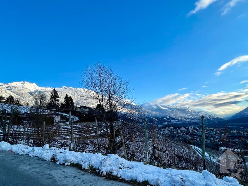 Promotion de 2 villas mitoyennes de 4.5 pces au calme, vue panoramique (5)