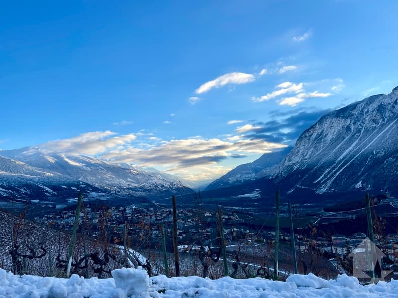 Promotion de 2 villas mitoyennes de 4.5 pces au calme, vue panoramique (4)
