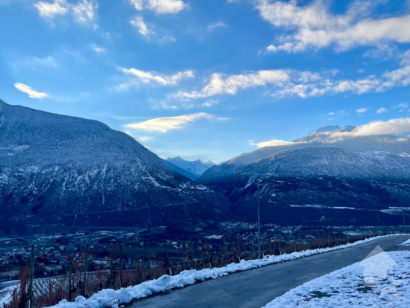 Promotion de 2 villas mitoyennes de 4.5 pces au calme, vue panoramique (3)