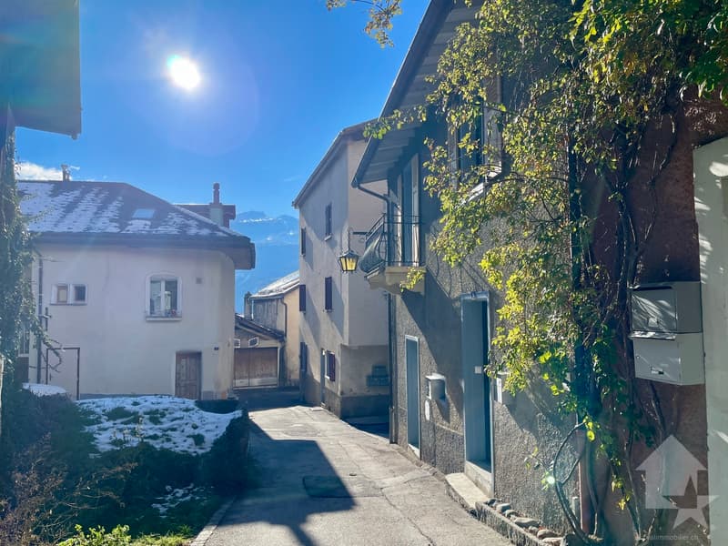Appartement duplex 2.5 pces dans maison de village totalement rénovée (10)