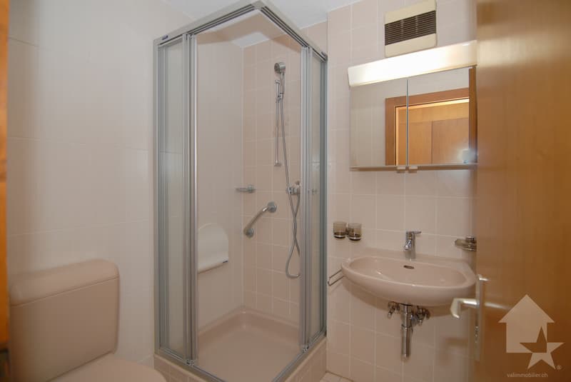 Spacieux appartement en duplex aux Bains de Saillon (13)