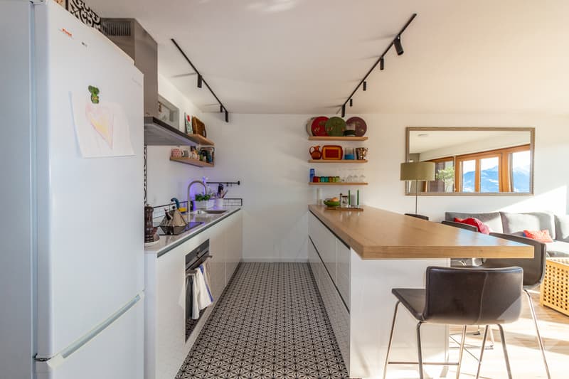 Spacieux appartement rénové 2.5 pièces jouissant d'une vue magnifique (6)