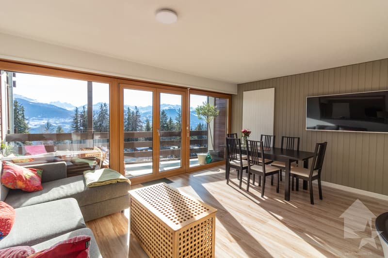 Spacieux appartement rénové 2.5 pièces jouissant d'une vue magnifique (5)