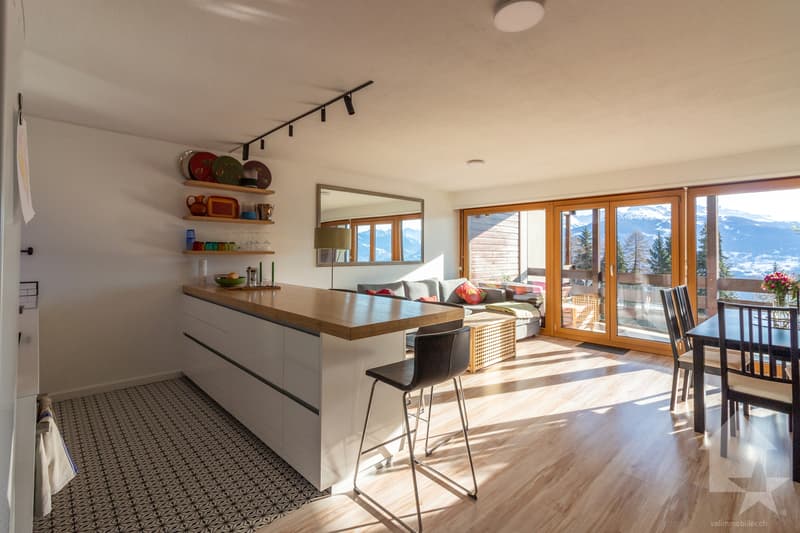 Spacieux appartement rénové 2.5 pièces jouissant d'une vue magnifique (4)