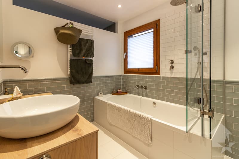 Spacieux appartement rénové 2.5 pièces jouissant d'une vue magnifique (13)